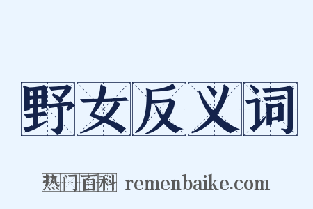 野女反义词是什么意思的图片